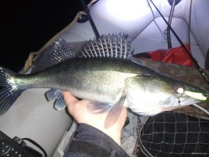 IMG_20191226_162405.jpg
