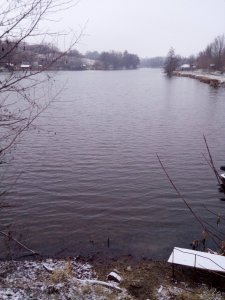 IMG_20191230_081016.jpg
