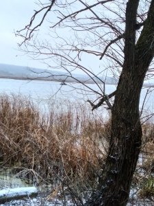 IMG_20191229_140711.jpg