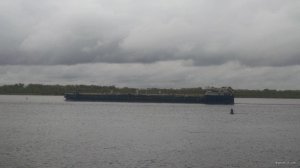 IMG_20190921_133335094.jpg
