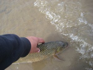 IMG_1994.JPG
