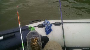 IMG_20190927_100634984.jpg