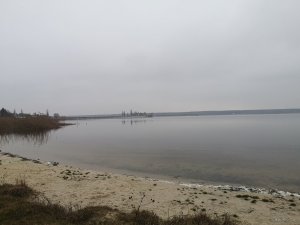 IMG_20191230_093030.jpg