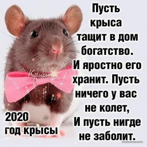 IMG-1021d0ecbeefab57ac110f70b22ae03f-V.jpg