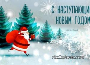 7aa5e08df70db21c.jpg