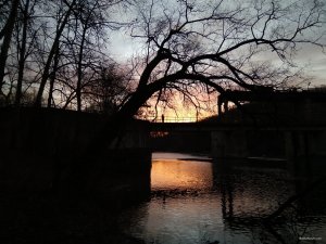 IMG_20191231_153907.jpg