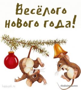 IMG-bd92c67117114a61b325a01032b79854-V.jpg