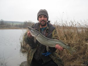 IMG_1529.JPG
