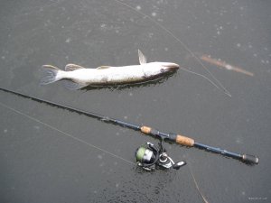 IMG_1532.JPG