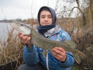 IMG_1543.JPG