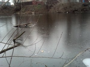 IMG_20130817_135756_418.jpg
