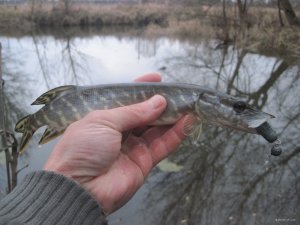 IMG_1560.JPG