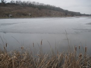 IMG_1570.JPG