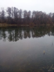 IMG_20200104_141253.jpg