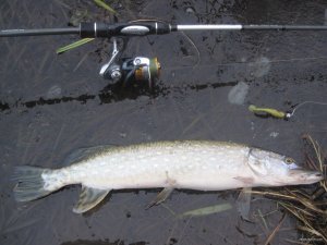 IMG_1573.JPG