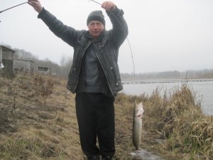 IMG_1584.JPG