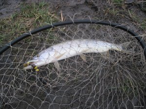 IMG_1589.JPG
