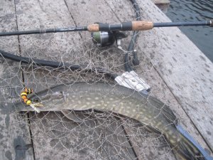 IMG_1590.JPG