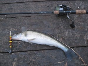 IMG_1595.JPG