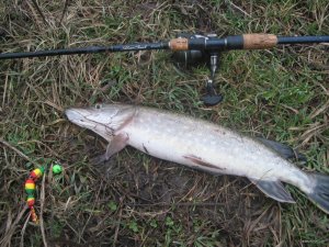 IMG_1579.JPG