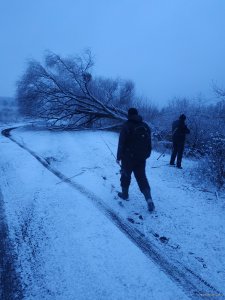 IMG_20200105_073155.jpg