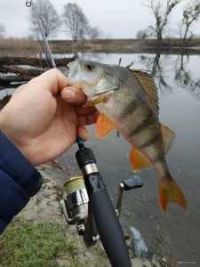 IMG_20200105_130741.jpg