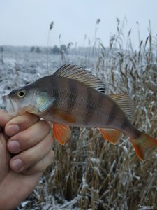 IMG_20200105_083811.jpg