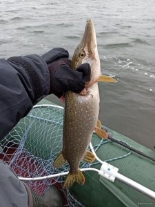 IMG_20200104_121338.jpg