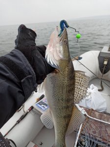 IMG_20200105_122915.jpg