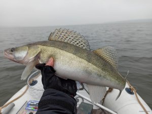 IMG_20200105_112757.jpg