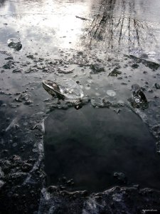 IMG_20200108_113103.jpg