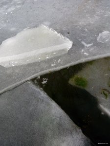 IMG_20200108_114150.jpg
