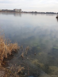 20200108_140507.jpg