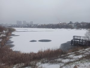 IMG_20200110_082123.jpg