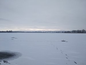 IMG_20200110_092407.jpg