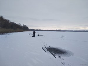 IMG_20200110_092404.jpg