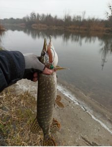IMG_20200111_195436.jpg