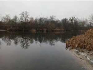 IMG_20200111_195408.jpg