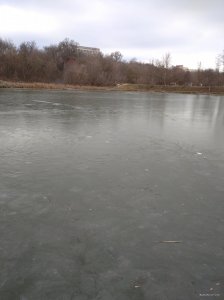 IMG_20200112_095758.jpg