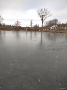 IMG_20200112_095801_1.jpg