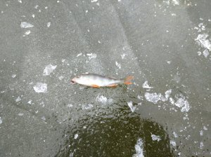 IMG_20200112_084650.jpg