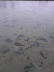 20200113_072609.jpg