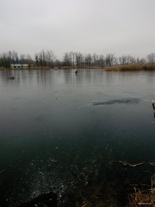 IMG_20200113_092859.jpg