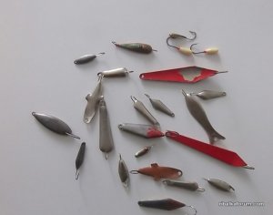 PC140030.JPG