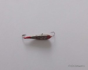 PC140032.JPG