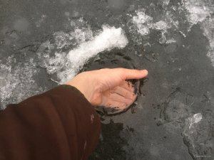 F57644BF-FDCC-40E8-AFC1-440F8C3487B2.jpeg