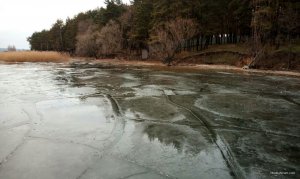 IMG_20200114_175631.jpg