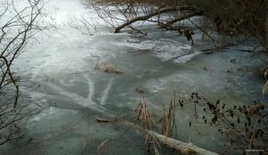 IMG_20200114_171334.jpg