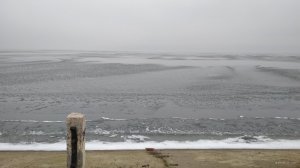 IMG_20200114_095613.jpg