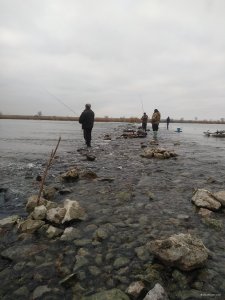 IMG_20200115_102625.jpg